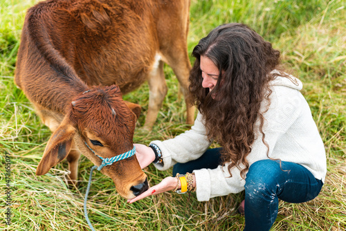 Female farmer feeding cattle photo
