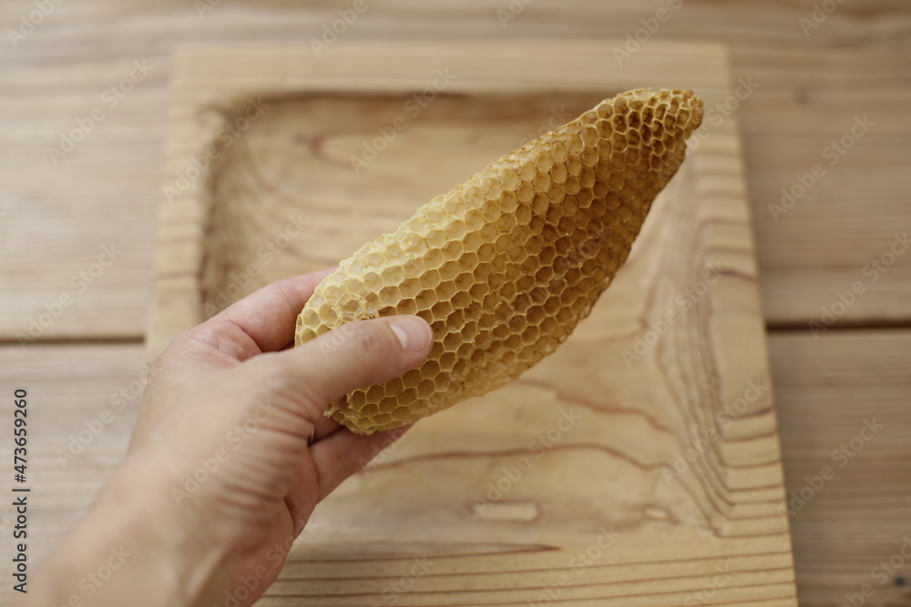 Hand holding honeycomb piece. Burr comb. Wooden tray at background Hand holding honeycomb piece. Burr comb. Wooden tray at background