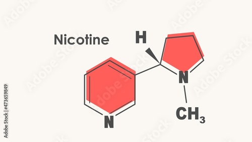 Structural chemical formula of nicotine. Infographics illustration.