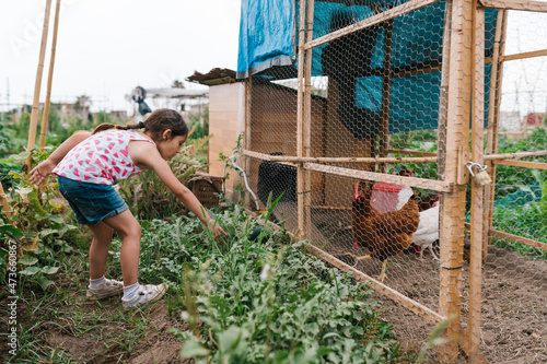 Girl near hen house in village photo