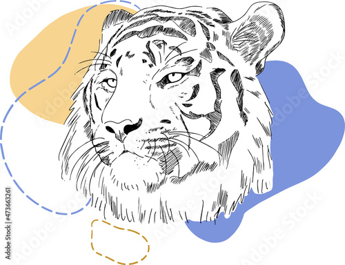 sketch tiger and abstract figures illustration. Vector illustration