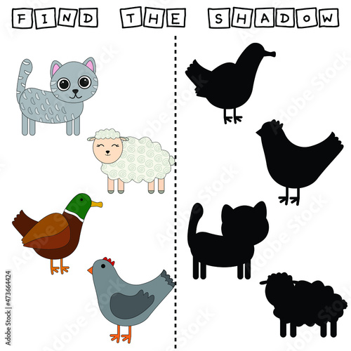 Developing activity for children  find a pair among identical of  cat  sheep  duck  chicken. Logic game for children. 