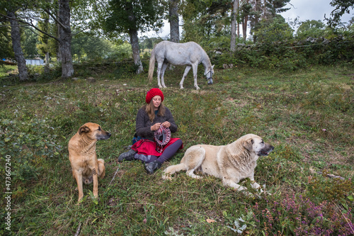 woman knitting surrounded with animals  photo