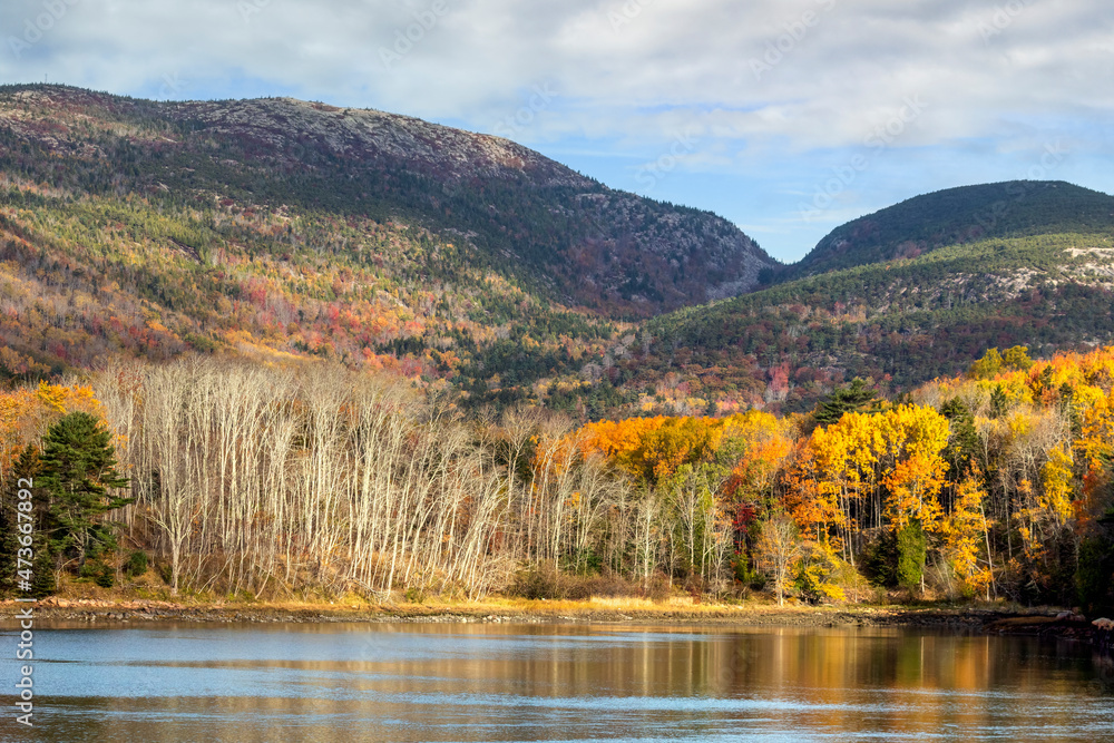 Cadillac and Door Mountains are viewed from Otter Cove with gorgeous trees displaying colorful fall leaves in Acadia National Park on Mt. Desert Island, along the Atlantic Coast of Down East Maine.