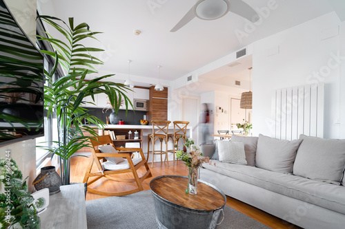 Interior of living room and kitchen