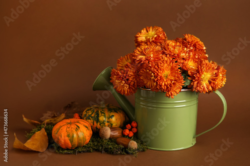 Watering can with beautiful Chrysanthemum flowers and pumpkins on brown background