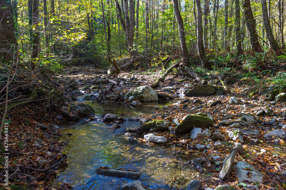 a journey along the bed of a mountain river, an autumn day, a shallow bottom and stones are warming up in sunlight, nature is preparing for winter. a journey along the bed of a mountain river, an autumn day, a shallow bottom and stones are warming up in sunlight, nature is preparing for winter.