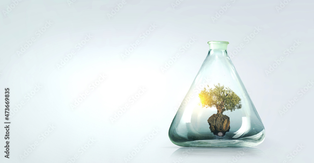 Tree growing inside clear glass bottle . Mixed media Tree growing inside clear glass bottle . Mixed media