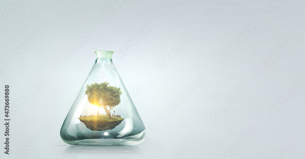 Tree growing inside clear glass bottle . Mixed media Tree growing inside clear glass bottle . Mixed media