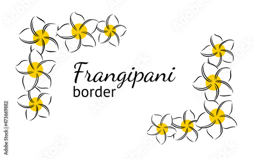 Frangipani or plumeria exotic summer flower. Engraved frangipani isolated in white background. Outline vector illustration