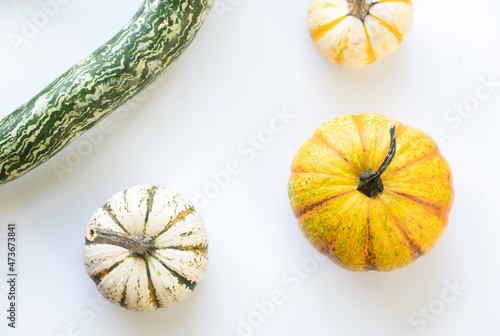 Pumpkins and gourd on white photo