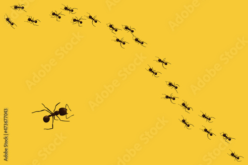 Black ant trail. Working insect curve group silhouettes isolated on yellow background. Vector illustration.