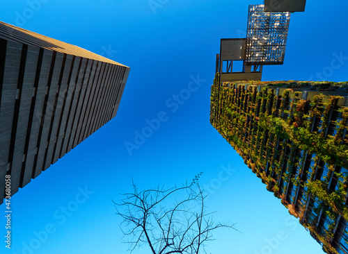 Vertical garden living green wall plants vs concrete modernism