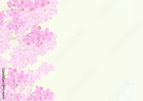 桜の背景素材8 © Noko