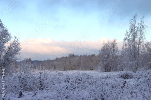 Winter, forest landscape. © kremldepall