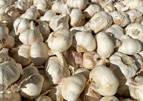 garlic