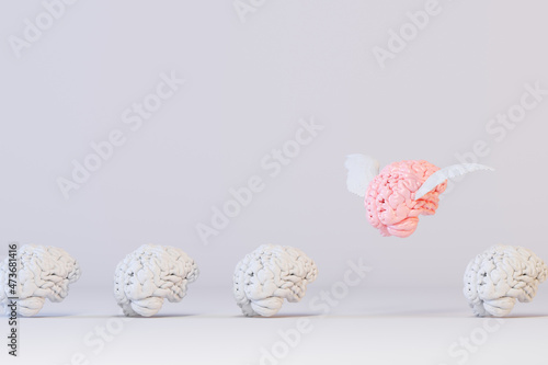 White brains set with one that flies away