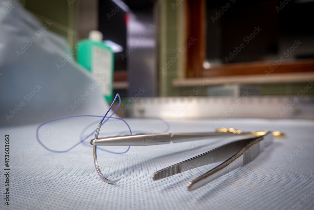a surgical suture is clamped in a needle holder and a pair of tweezers lies next to it a surgical suture is clamped in a needle holder and a pair of tweezers lies next to it