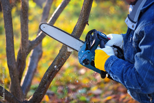 A gardener pruns trees with a lightweight cordless chain saw. Work in the autumn garden. photo