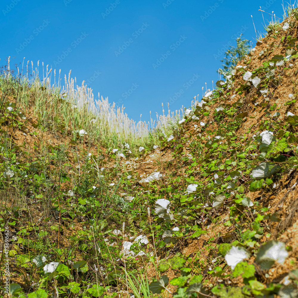 Obraz premium Climbing up a hill