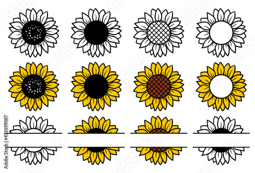 Set of sunflowers. Hand drawn vector collection. Isolated illustrations on white background.