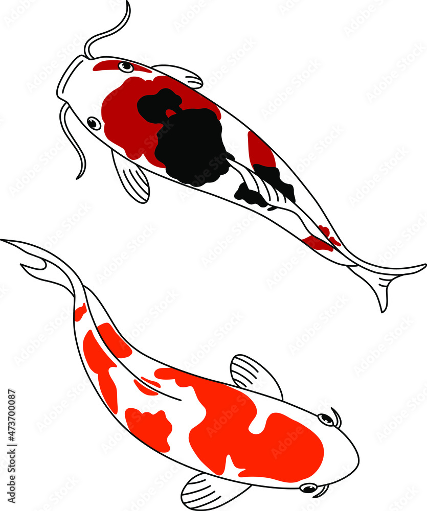 悠々と泳ぐ美しい模様の錦鯉 Stock Vector Adobe Stock
