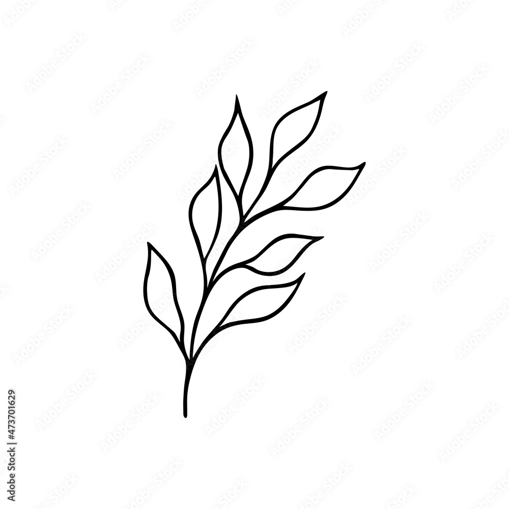Hand drawn herb graphic art. Black and white sketch isolated. Vecyor doodle illustration. Hand drawn herb graphic art. Black and white sketch isolated. Vecyor doodle illustration.