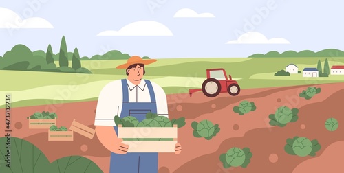 Farm landscape with agriculture field and farmer with crate of vegetables. Worker collecting harvest on plantation. Man in farmland with box of cabbages. Flat vector illustration of agronomist
