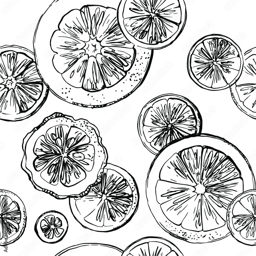 Citrus sketch pattern. Drawing in ink line on a white background. Citrus sketch pattern. Drawing in ink line on a white background.