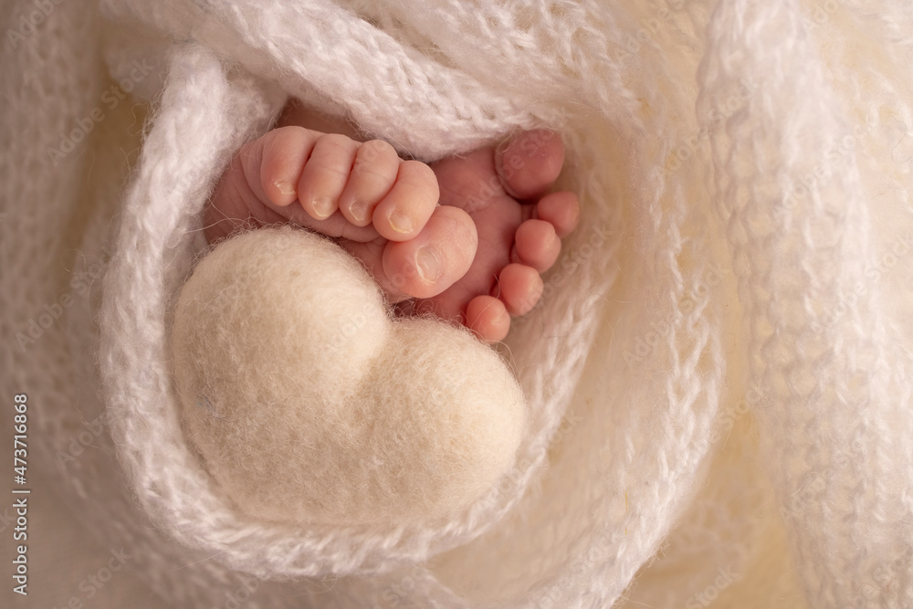 The tiny foot of a newborn baby. Soft feet of a new born in a white wool blanket. Close up of toes, heels and feet of a newborn. Knitted white heart in the legs of a baby. Studio macro photography. The tiny foot of a newborn baby. Soft feet of a new born in a white wool blanket. Close up of toes, heels and feet of a newborn. Knitted white heart in the legs of a baby. Studio macro photography.