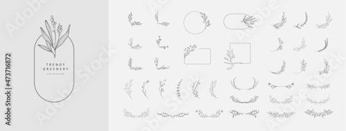 Obraz na plátne Set of elegant floral logo elements