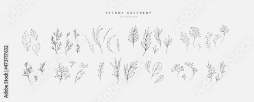 Floral branch. Hand drawn wedding herb, homeplant with elegant leaves for invitation save the date card design. Botanical rustic