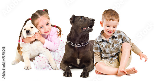 Photography Beautiful smiling children sitting together with dogs isolated on white backgrou