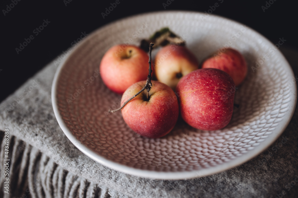 Bowl of Red Apples on wool blanket. Bowl of Red Apples on wool blanket.