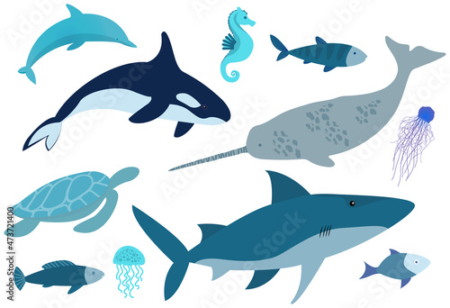 Marine life set. Wild nature of world ocean, fish, animals and molluscs. Underwater animal life. Ocean banner with jellyfish, fish, shark, turtle, seahorse and swordfish. Isolated nautical characters