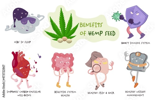 Hemp seeds benefits infographics, medical cannabis, marijuana leaves, natural herbal alternative medicine,