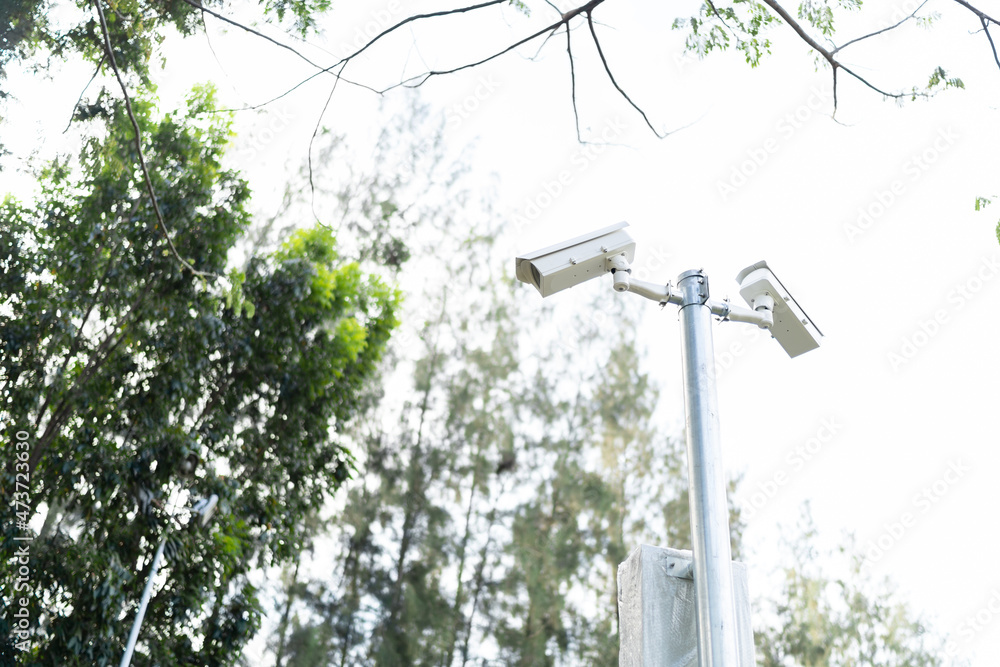 Closed circuit on natural background, Focus selection. Closed circuit on natural background, Focus selection.