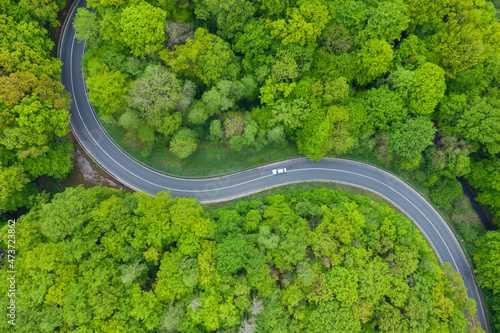 Aerial view of asphalt road winding through green springtime forest