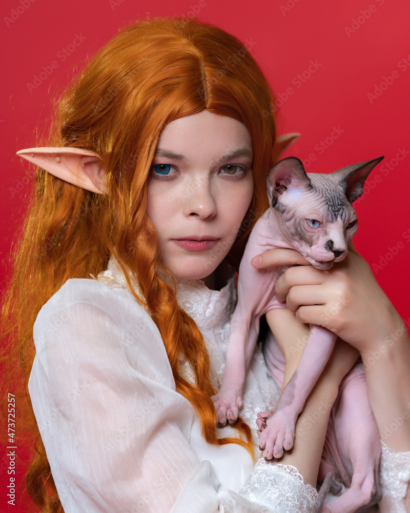 Portrait of cosplayer elf young female in white dress, with beautiful red long hair, eyes of different colors who looks at camera thoughtfully, holding Sphinx kitten in her hands. Red background. Portrait of cosplayer elf young female in white dress, with beautiful red long hair, eyes of different colors who looks at camera thoughtfully, holding Sphinx kitten in her hands. Red background.