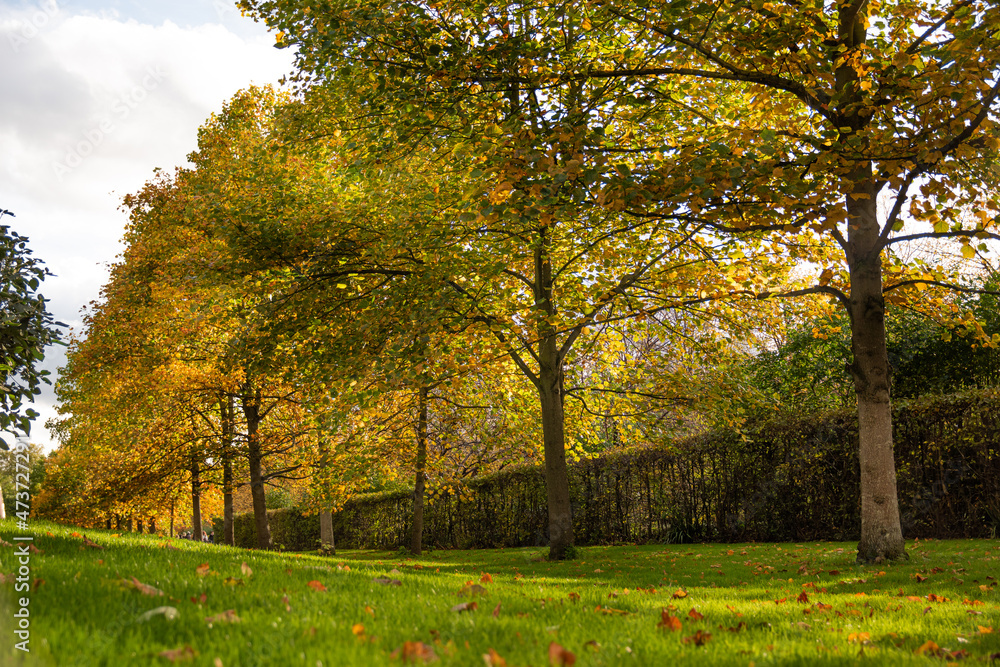 autumn in the park autumn in the park