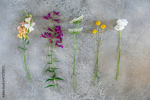 Variety of multi colored wild flowers photo