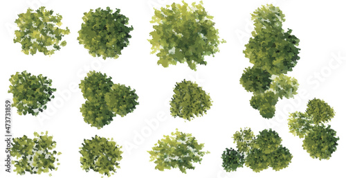 Vector of abstract watercolor tree top view isolated on white background  for landscape plan and architecture layout drawing, elements for environment and garden, grass