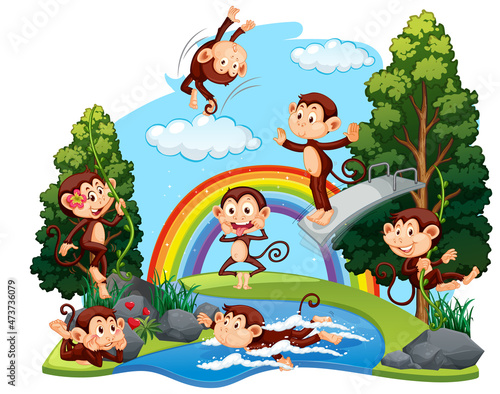 Funny monkeys playing in the forest