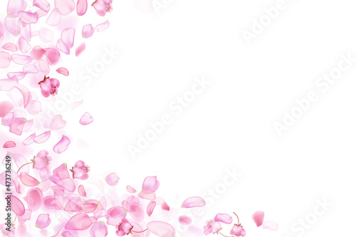 Pink falling sakura petals and flowers.Nature horizontal background.