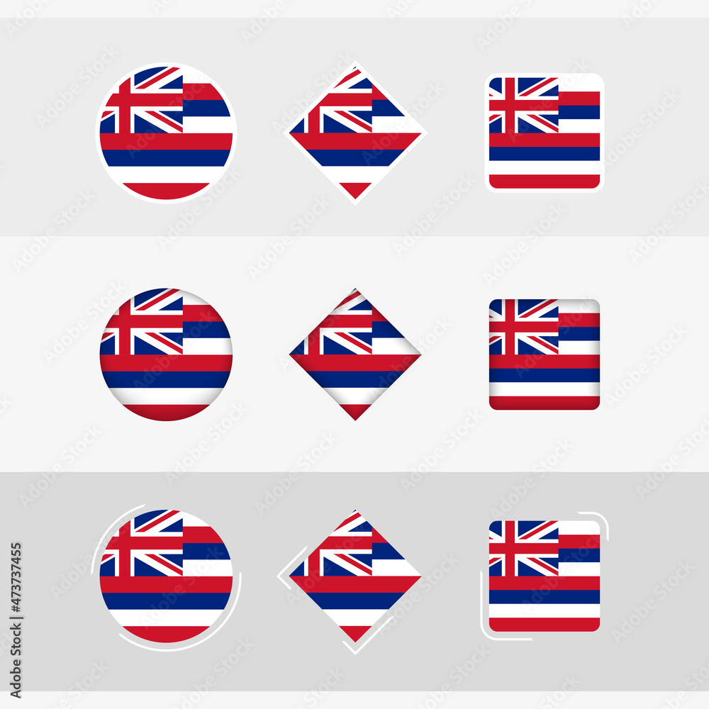 Hawaii flag icons set, vector flag of Hawaii. Hawaii flag icons set, vector flag of Hawaii.