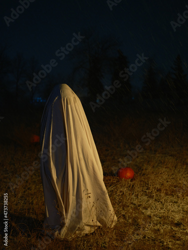 A ghost stands at night in a field. photo