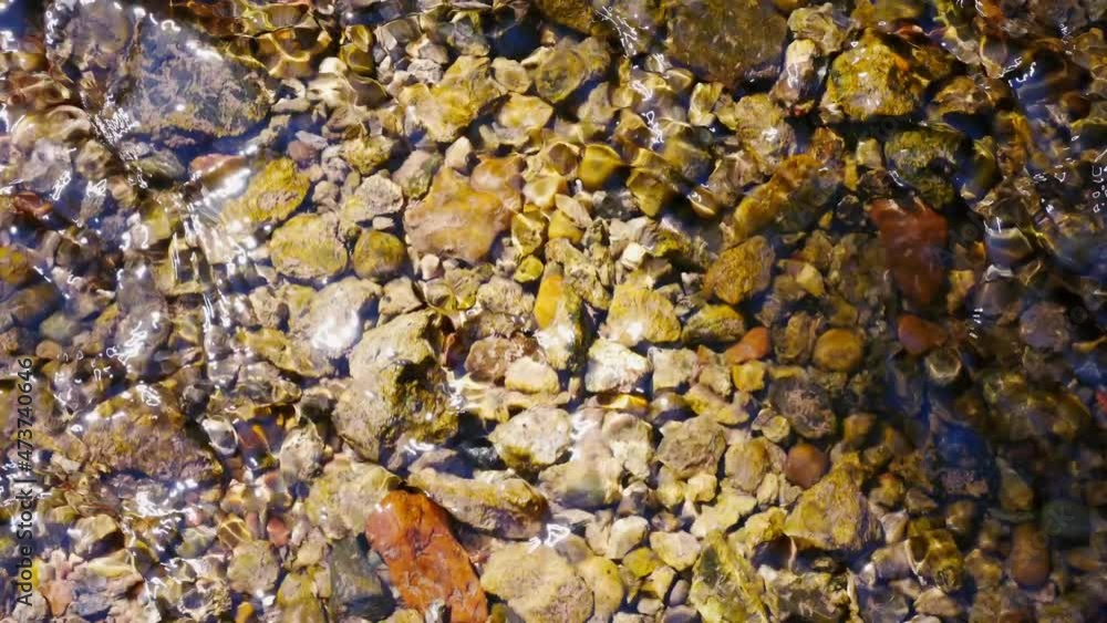 Mountain Creek. The purest clear water sparkles in the rays of the high-mountainous sun. Mountain Creek. The purest clear water sparkles in the rays of the high-mountainous sun.