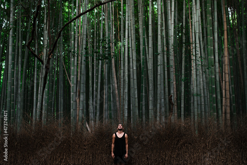 Traveler looking up in bamboo forest photo