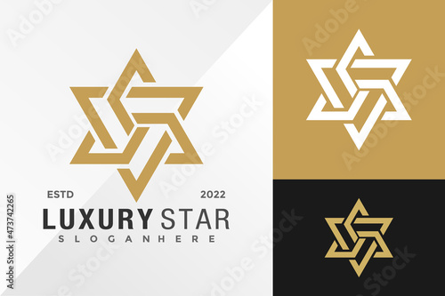 Abstract Luxury Star Logo Design Vector illustration template
