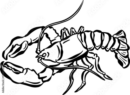 Cartoon Crustacean Shrimp Lobster Fish Vector Illustration
